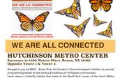 “We Are All Connected” program